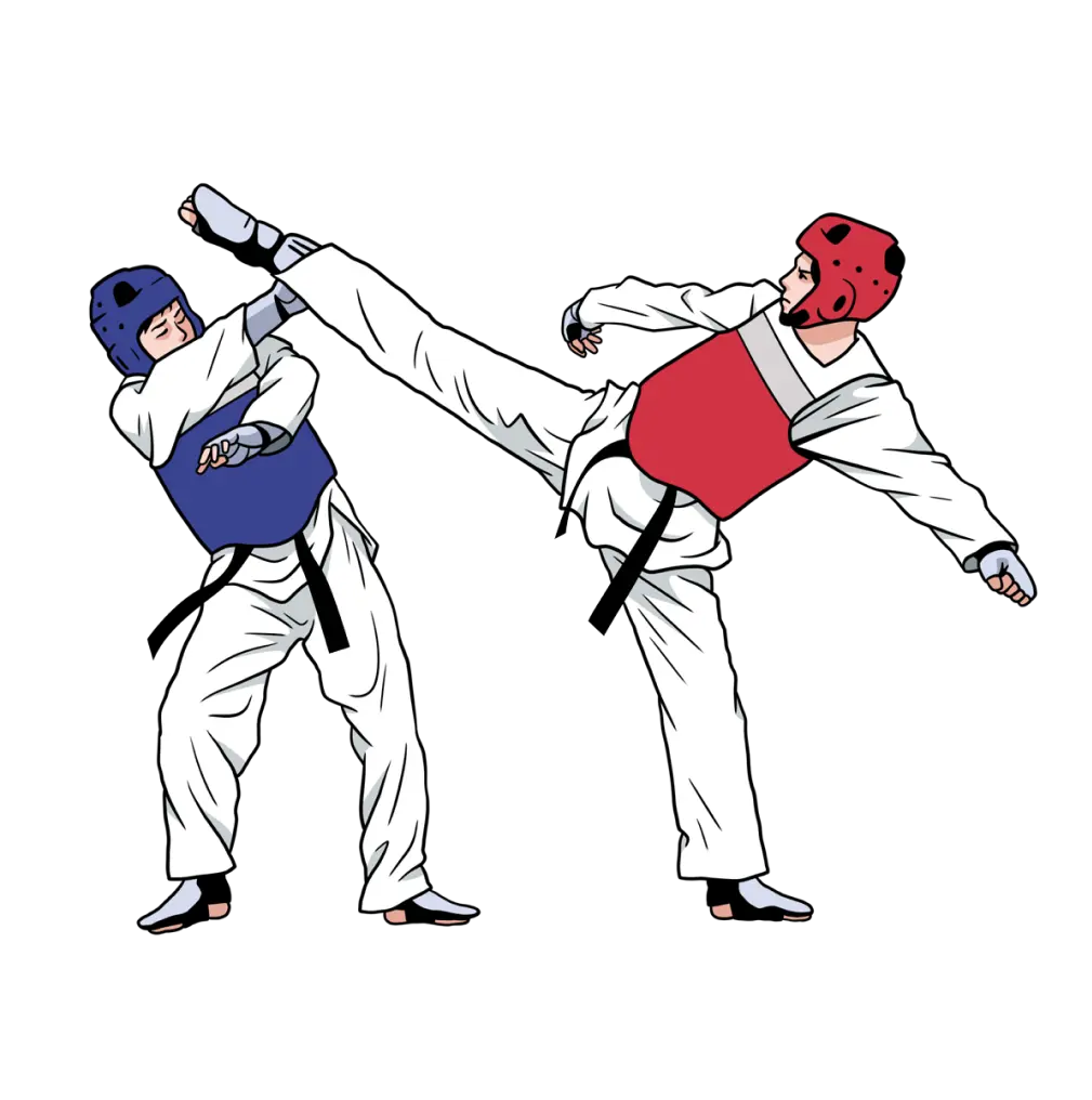 Hero Icon of 2 people fighting in Taekwondo